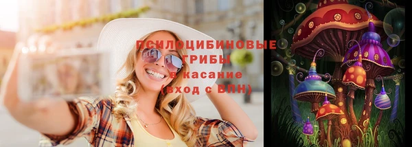 дурь Верея