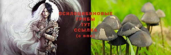 дурь Верея