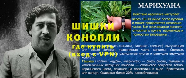 амф Верхний Тагил