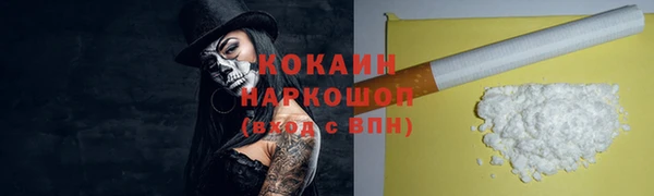 амф Верхний Тагил