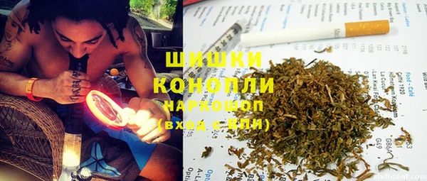 твердый Володарск