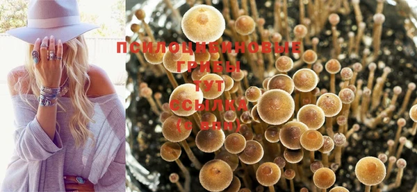 MESCALINE Волоколамск