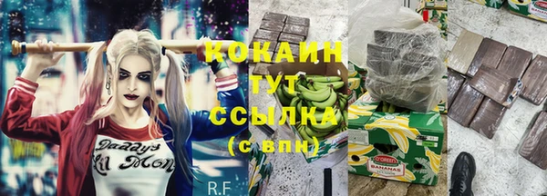 амф Верхний Тагил
