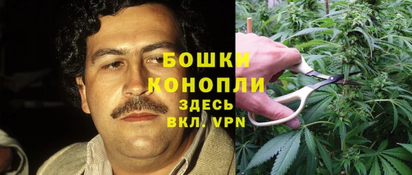 дурь Верея