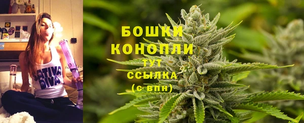 дурь Верея
