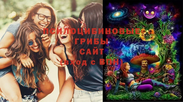 дурь Верея