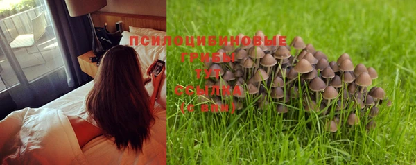 дурь Верея