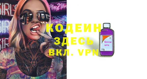 амф Верхний Тагил