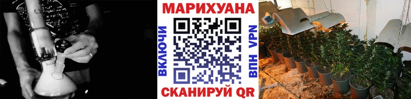 Канабис план  Чистополь 